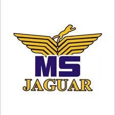 MS Jaguar logo - Ijaz & Sons client